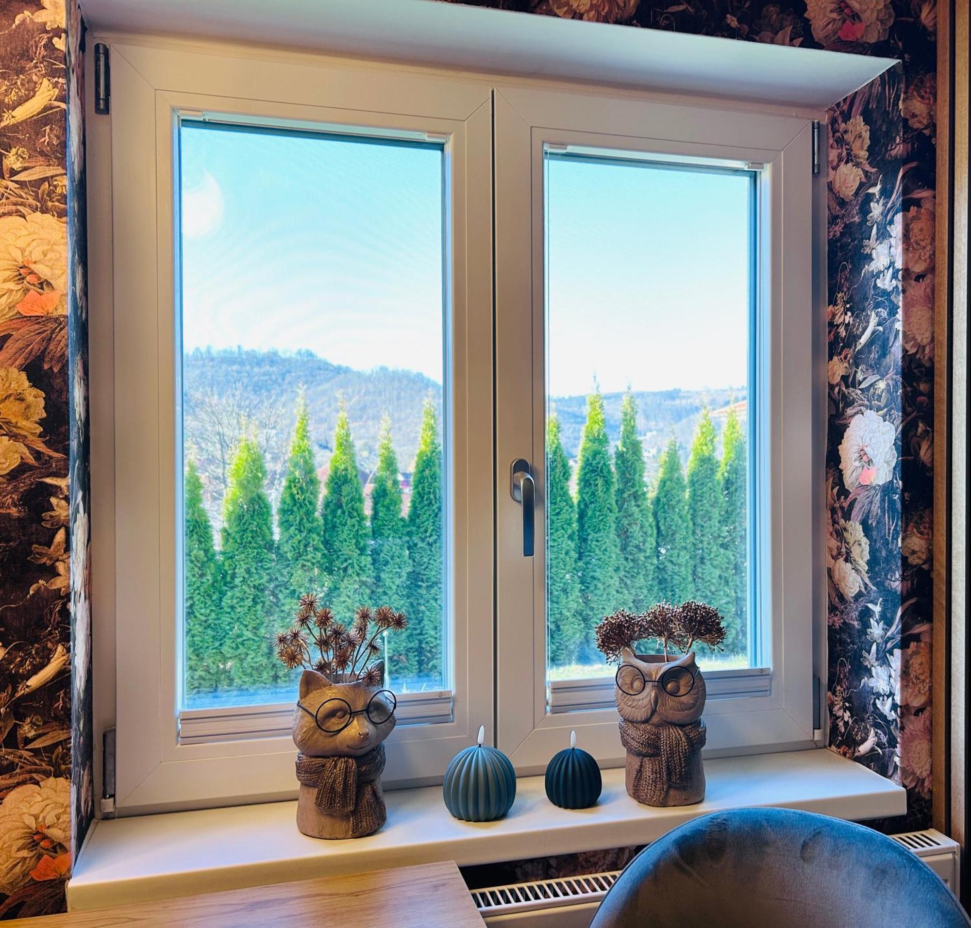 Wohnung Goethe'S Bergblick Bad Harzburg Ngoại thất bức ảnh